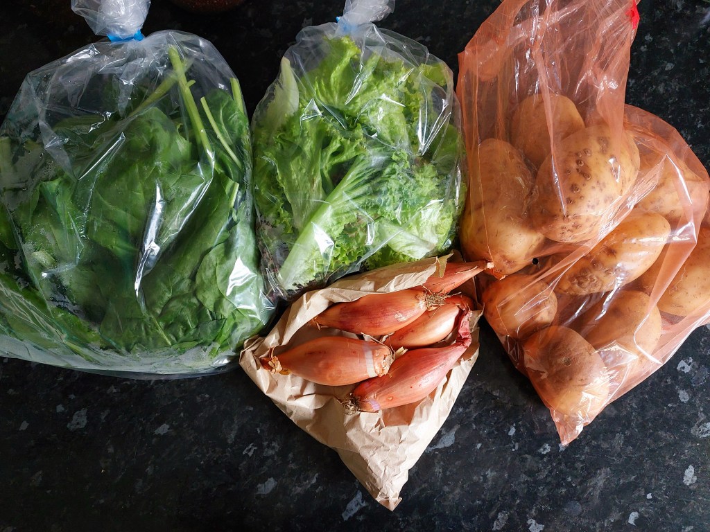 Grow, Share, Cook – Week&nbsp;Two